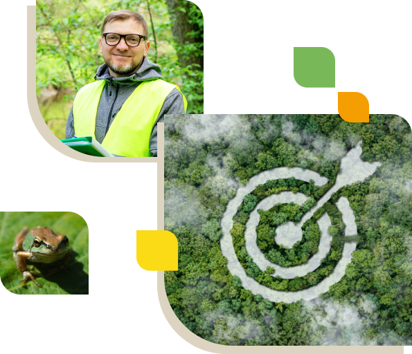 collage with man and frog and target